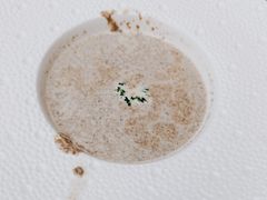 -蜻蜓逐宴全日制西餐厅I古北水镇大酒店