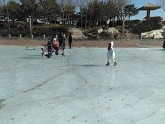 -通辽森林公园