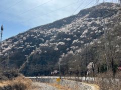 -妙峰山风景名胜区