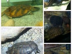 海洋世界-台州海洋世界