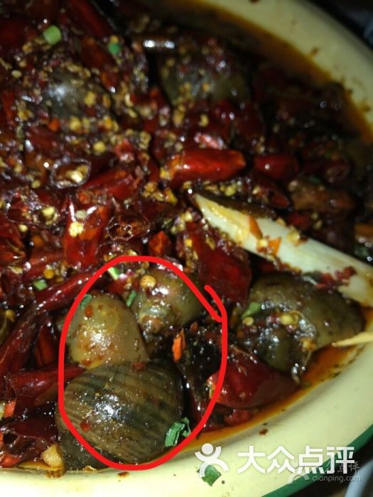 罗老五大排档-图片-重庆美食-大众点评网