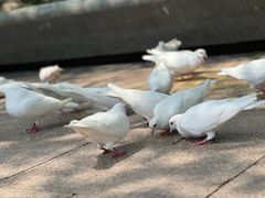 -人民广场
