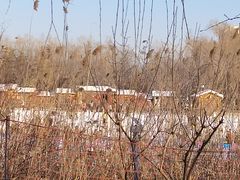 -大兴滨河森林公园