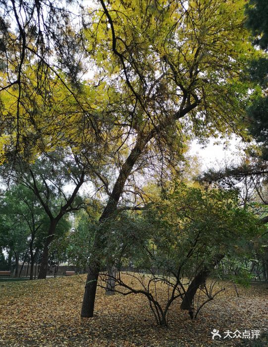 南苑公園-圖片-北京周邊遊-大眾點評網