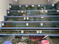 -锐记美食店·现捞海鲜(闸坡店)