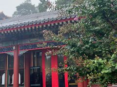 -宫事颐庭·老佛爷贵寿下午茶(颐和园店)