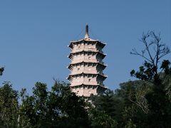 -深圳国际园林花卉博览园