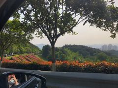 -铁山坪森林公园