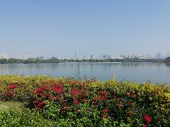 -海珠湖公园