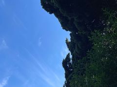 -烟台山景区