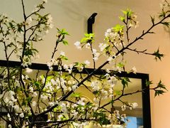 -Joymean coffee.见面咖啡