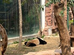 -五龙山野生动物王国