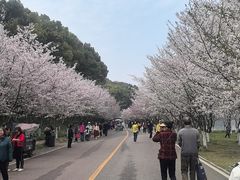 -团城山公园