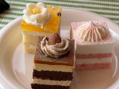 -桃鲤·风味民间家宴淳鱼馆(千岛湖店)