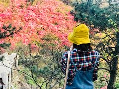 -木兰云雾山