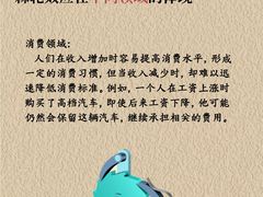 -观心实验室·心理咨询(上海旗舰店)