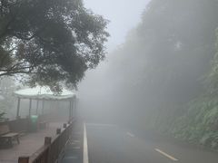 -海南铜鼓岭景区