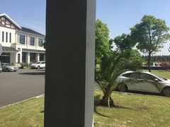 -明珠湖天鹅苑·农家菜馆