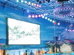 -大连老虎滩海洋公园