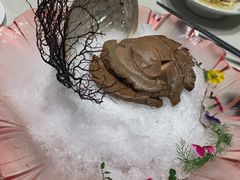 -蝶园·装修中(BFC外滩金融中心店)