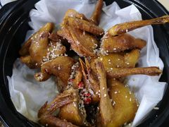 -一煲鸽