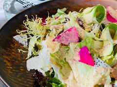 牛油果蔬菜沙拉-有喜胶东小馆(太申祥和店)