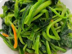 -巴依老爷新疆美食(望京小街店)