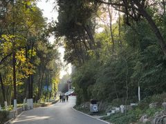 -云龙山