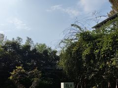 -林间山庄