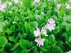 -千龙湖生态旅游度假区