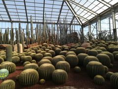 -南通洲际绿博园