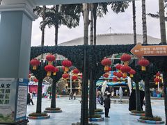 -海合安成都极地海洋公园