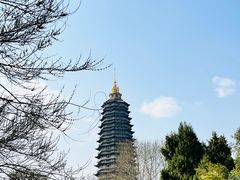 -红梅公园