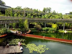 -梅峰山地公园
