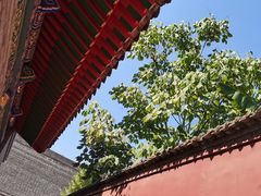 -西安市广仁寺