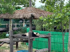 -西霞口神雕山野生动物世界