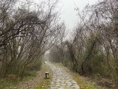 -盘龙城国家考古遗址公园