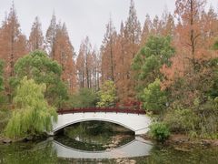 -东平国家森林公园