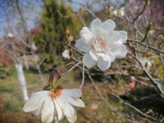 -陕西省西安植物园