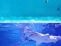 -正佳极地海洋世界