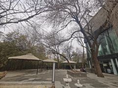 -唐廊烤鸭店(工体店)