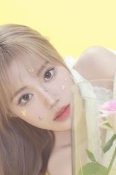 -WAVE SODA摄影工作室