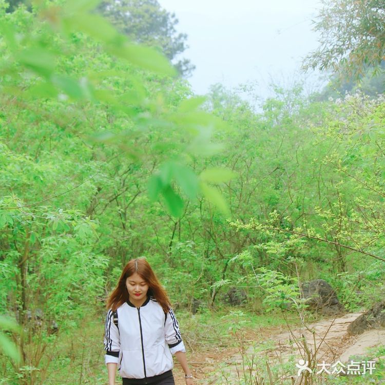 广东秦汉古道||适合户外小白的徒步路线