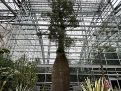 -南山植物园