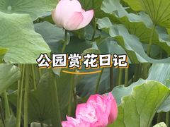 -龙头寺公园