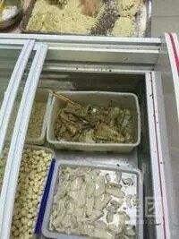 -小田乌鱼排(济宁总店)