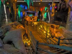 -乐山乌木文化博览苑