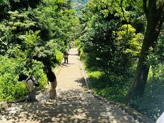 -青城山