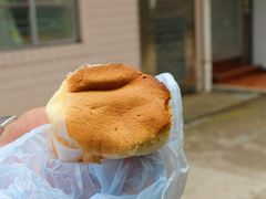 -南丫岛