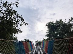 -沂蒙山旅游区云蒙景区(蒙山国家森林公园)